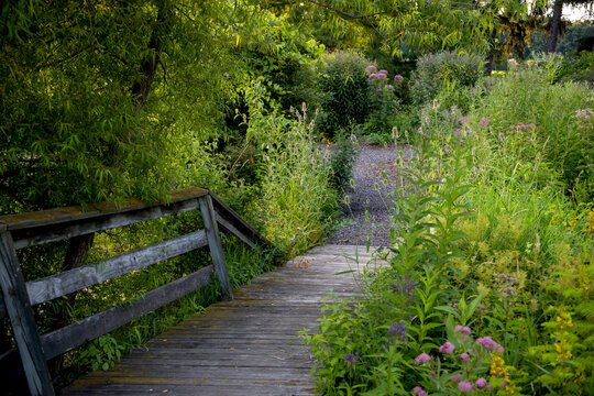 Scenic landscape of foot bridge through the wildflower plants in Michigan