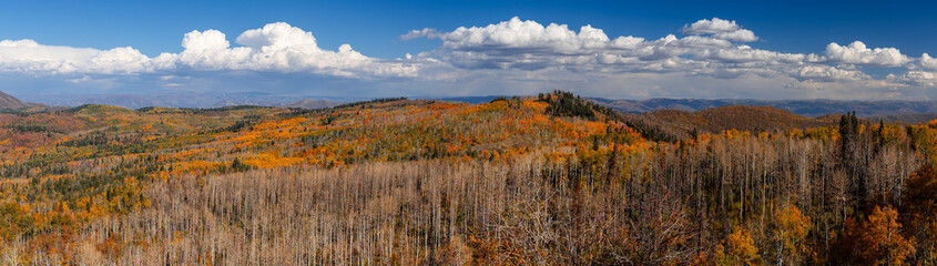 Panoramic view Wasatch mountain range in Utah covered with bright fall foliage .