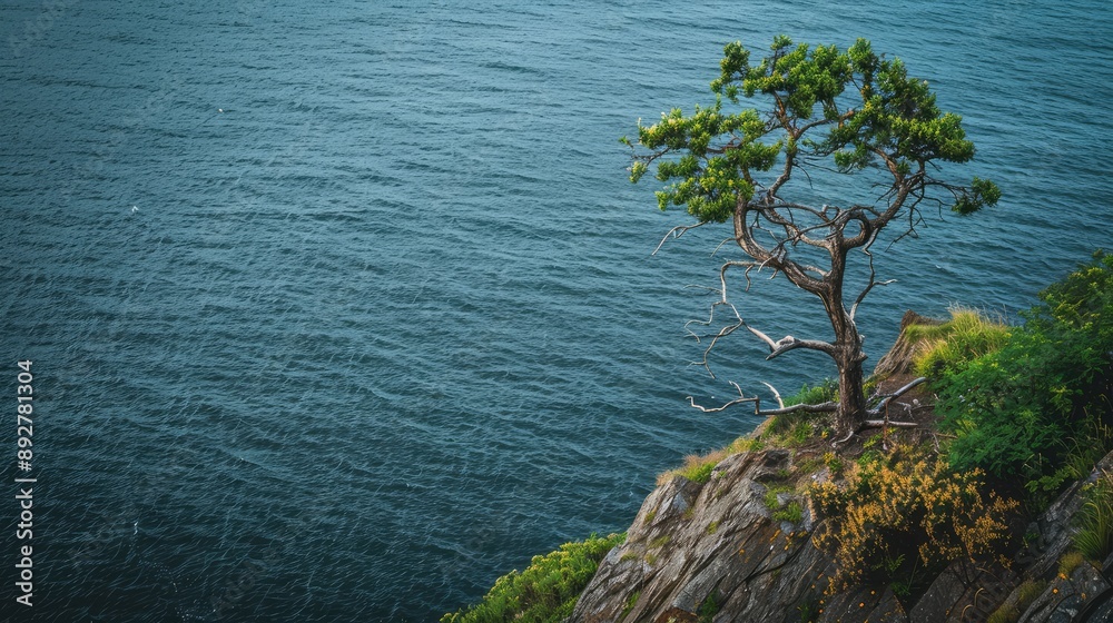 Sticker tree on the shore