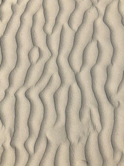 sand ripples in the sand