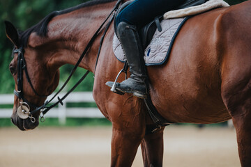 Close-up view of a person riding a horse at a ranch. The image focuses on the equestrians leg and...