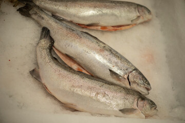 Frozen fish. Fish department of the store. Seafood at the market.