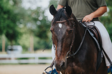 Close up of a horse with a rider during an outdoor equestrian training session, showcasing the bond...