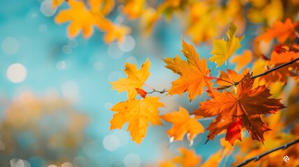 Abstract autumn nature background, with leaves, glowing sun and warm seasonal colors