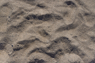 Sand Texture Close-Up Texture or Background 