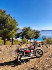 Fototapeta premium beautiful sea landscape with big trees and motorcycle