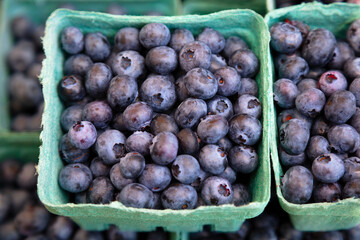 blueberries sweet fresh organic food blue berries delicious tasty vegan ingredients