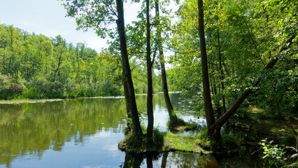 Obraz premium Drosedower Beek