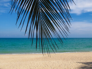 Fototapeta premium beautiful landscape of a sandy beach on the sea
