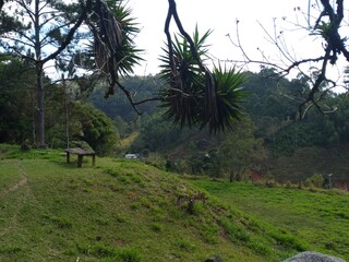 summer landscape in mountainous region