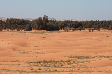  Merzouga, Morocco, features towering sand dunes, mesmerizing sunsets, and serene camel treks. Acacia trees dot the landscape, adding a touch of greenery to this enchanting desert adventure