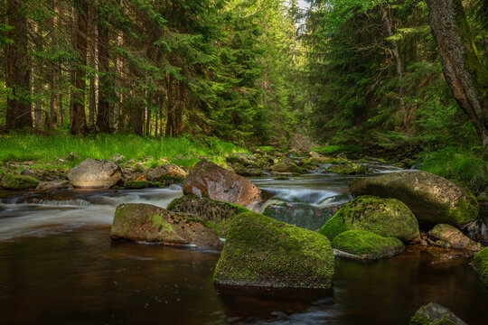 Rolava river with orange bed and grass on bank in summer hot morning