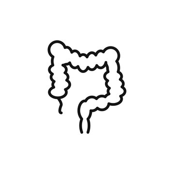 recommend clip art: Large intestine icon outline collection in black and on white background