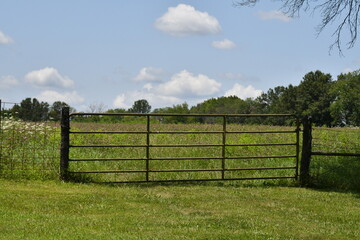 Fototapeta premium Fence and Gate in a Farm Field