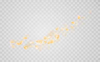 Yellow falling rose or sunflowers petals.Transparent panoramic horizontal background.Amber flower spring template.