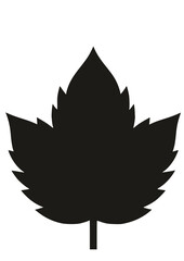 Maple Leaf SVG, Autumn SVG, Leaf Silhouette, Fall Leaves Svg, Halloween svg, Fall SVG, Leaf Clipart, Cut file for Cricut, Tree SVG, JPG, PNG