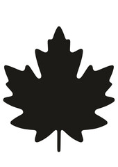 Maple Leaf SVG, Autumn SVG, Leaf Silhouette, Fall Leaves Svg, Halloween svg, Fall SVG, Leaf Clipart, Cut file for Cricut, Tree SVG, JPG, PNG