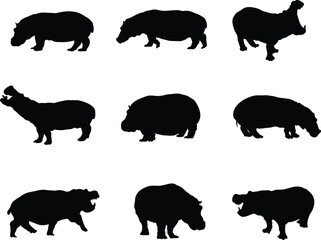 A vector collection of hippo silhouettes