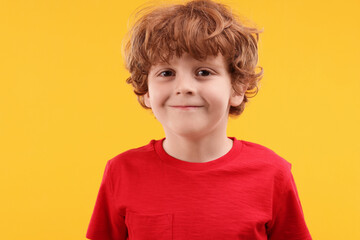 Portrait of cute little boy on orange background