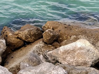Rocks on the Atlantic ocean beach