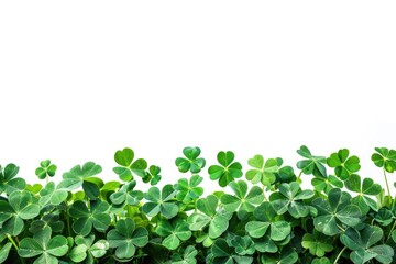 Shamrocks Border. Green Clover Leaf Frame with Nature Elements on White Background