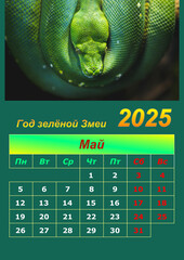 Illustration of a wall calendar 2025 of the Green Snake.