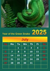 Illustration of a wall calendar 2025 of the Green Snake.