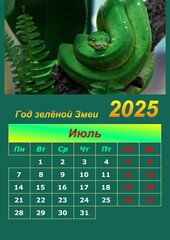 Illustration of a wall calendar 2025 of the Green Snake.