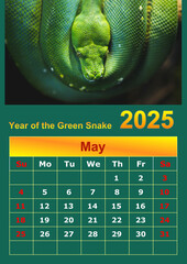 Illustration of a wall calendar 2025 of the Green Snake.