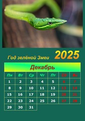 Illustration of a wall calendar 2025 of the Green Snake.