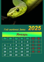 Illustration of a wall calendar 2025 of the Green Snake.