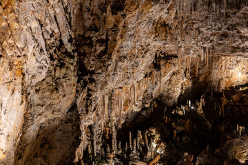 Grotta Gigante one of the largest stalactite caves in the World