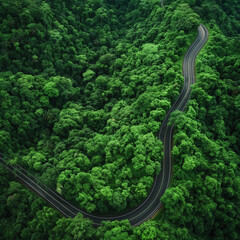 An aerial top view capturing an asphalt road winding through a lush green forest, showcasing a healthy rainforest ecosystem