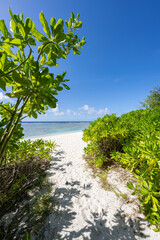 Tropical beach in summer, Ritidian Point, Guam, US Territory