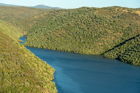 Tagus river that borders Portugal and Spain between the towns of Malpica do Tejo and the town of Herrera de Alcantara-Spain.