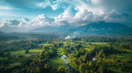 Naklejka premium Landscape of rice terraces in Indonesia