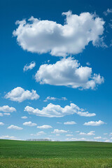 Fototapeta premium A wide expanse of green field under a sky with scattered clouds, epitomizing open space and freedom.
