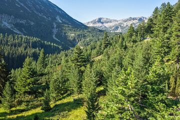 Pirin Mountain around Banderitsa River, Bulgaria