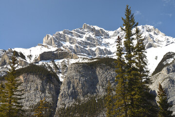 Rocky Mountains with evergreen trees in foreground in Banff National Park, Canada