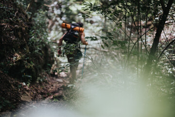 Young hiker carrying a backpack and hiking through a lush forest trail on a sunny summer day, embracing adventure and nature.