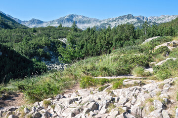 Obraz premium Pirin Mountain around Banderitsa River, Bulgaria