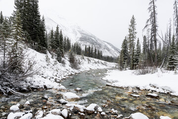 Banff National Park during winter, snowy landscape overlooking calm river.