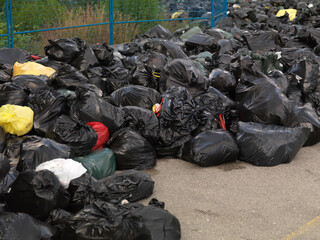 Garbage Dump in a City Park