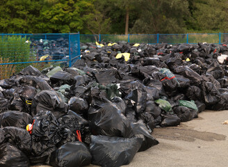 Garbage Dump in a City Park