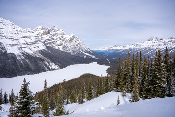 Peyto Lake, Banff National Park frozen during winter time.
