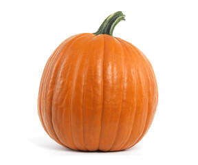 Large Pumpkin