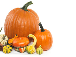 Pumpkins and Gourds