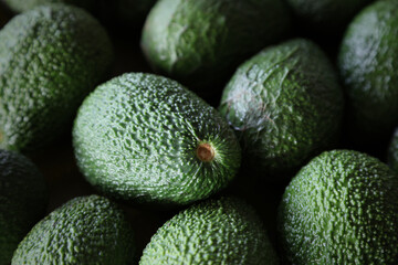Close-up of green avocados