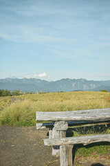 Mocho choshuenco volvcano south of chile