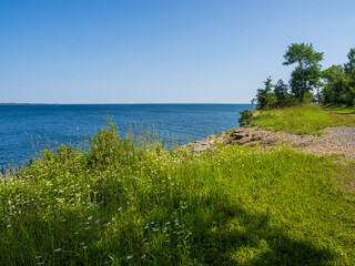 View over Lake Ontario with trees and flowers in the foreground on sunny day from Robert G. Wehle State Park in New York state.